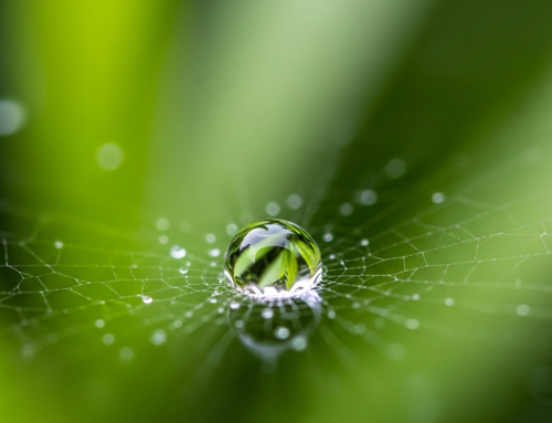 El Paso Lawyer for Auto Accident: What to Ask Before Hiring